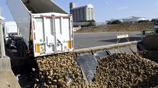 Cristal Union veut payer les betteraves 30 €/t à « moyen terme » Cristal Union veut payer les betteraves 30 €/t à « moyen terme »
