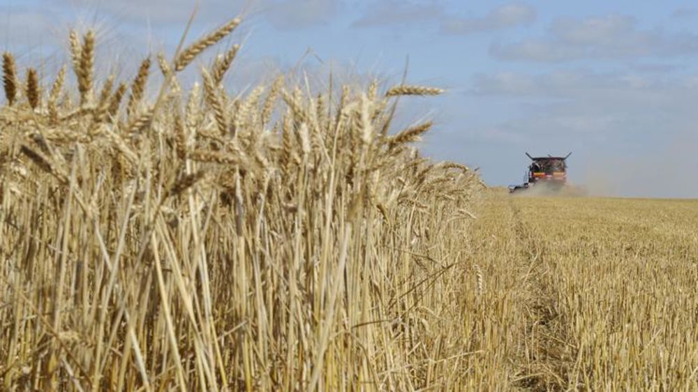 L’essentiel des marchés des céréales en dix points