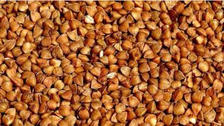 Du sarrasin et du chia bio contaminés par du prosulfocarbe Du sarrasin et du chia bio contaminés par du prosulfocarbe