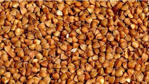 Du sarrasin et du chia bio contaminés par du prosulfocarbe