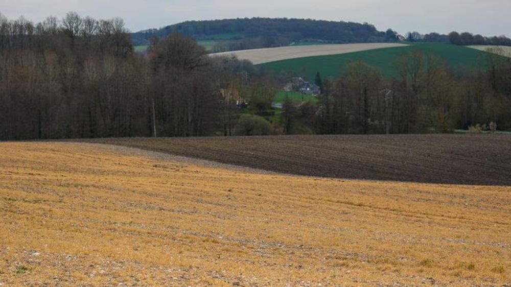 Pas de caractère cancérogène retenu pour le glyphosate