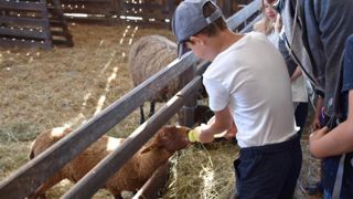 Rendez-vous dans les fermes pour les journées de l’agriculture Rendez-vous dans les fermes pour les journées de l’agriculture