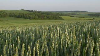 Intercéréales fusionne avec Passion Céréales et France Export Céréales Intercéréales fusionne avec Passion Céréales et France Export Céréales