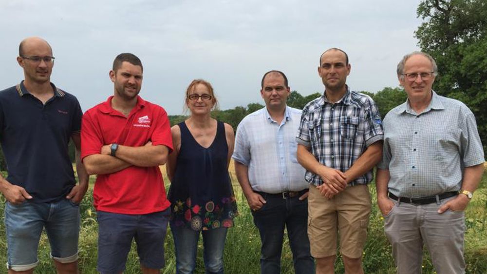 La FNO plaide pour le renforcement de l’aide ovine