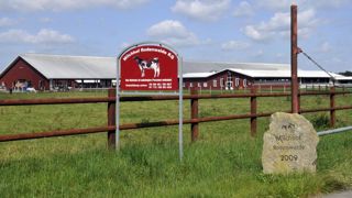 Loup, agriculture industrielle… ce que proposent les conservateurs allemands Loup, agriculture industrielle… ce que proposent les conservateurs allemands