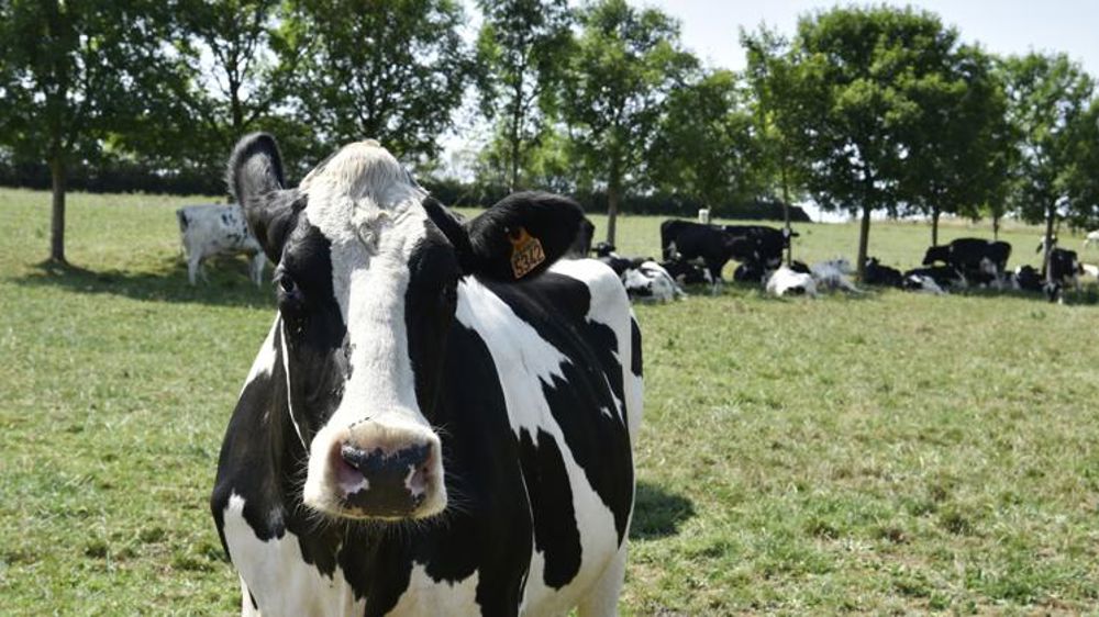 La Pac épinglée par la Cour des comptes européenne