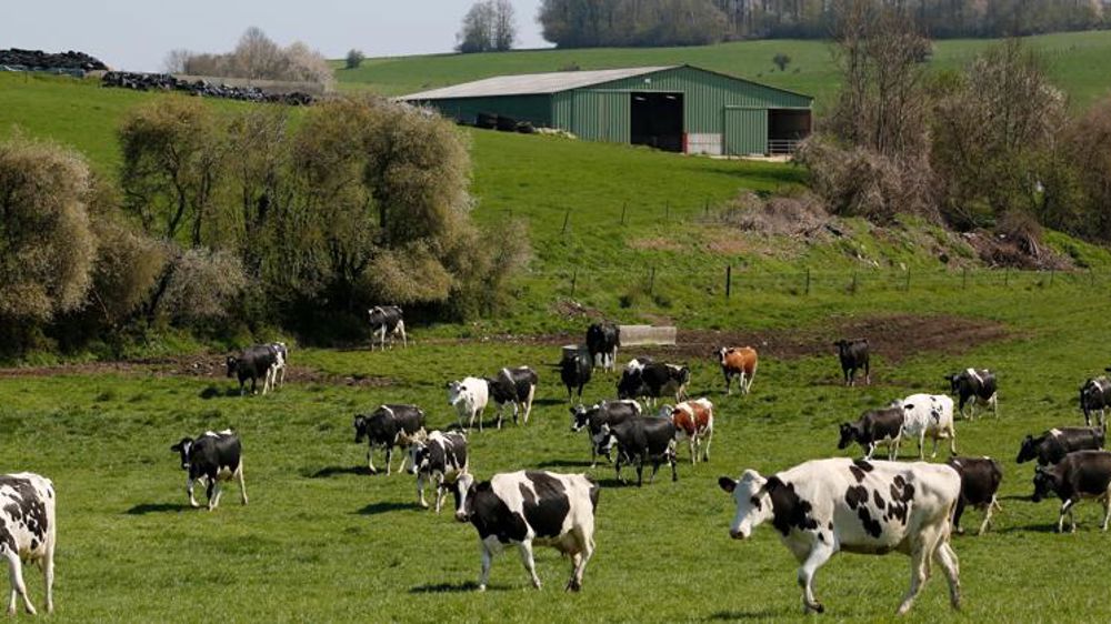 Les politiques agricoles européennes ne sont pas efficaces