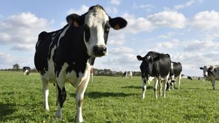 La demande de lait bio augmente moins vite que l’offre La demande de lait bio augmente moins vite que l’offre