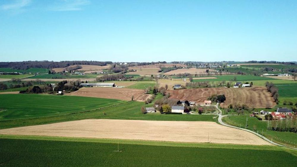 Dernier round de négociation pour la réforme de la Pac