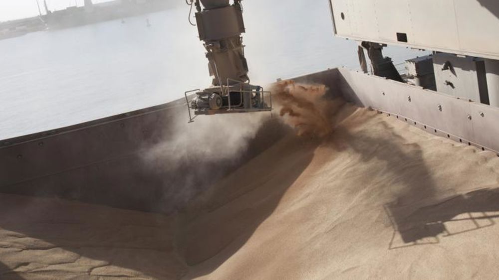 Le colza rebondit, pas les céréales