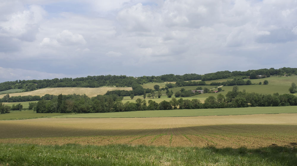 La Coordination rurale favorable à un « tunnel de prix » dans les contrats