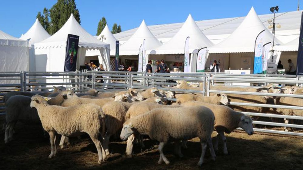 Une édition de Tech-Ovin tournée vers l’innovation