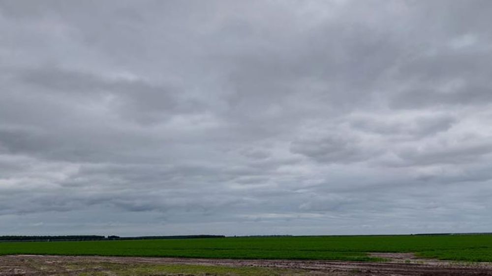 Temps mitigé au nord, ensoleillé au sud