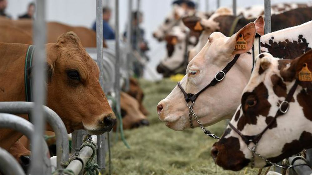 Le Sommet de l’élevage sous le signe de l’innovation et de la convivialité