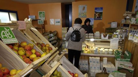 Six mille nouveaux producteurs bio en 2020
