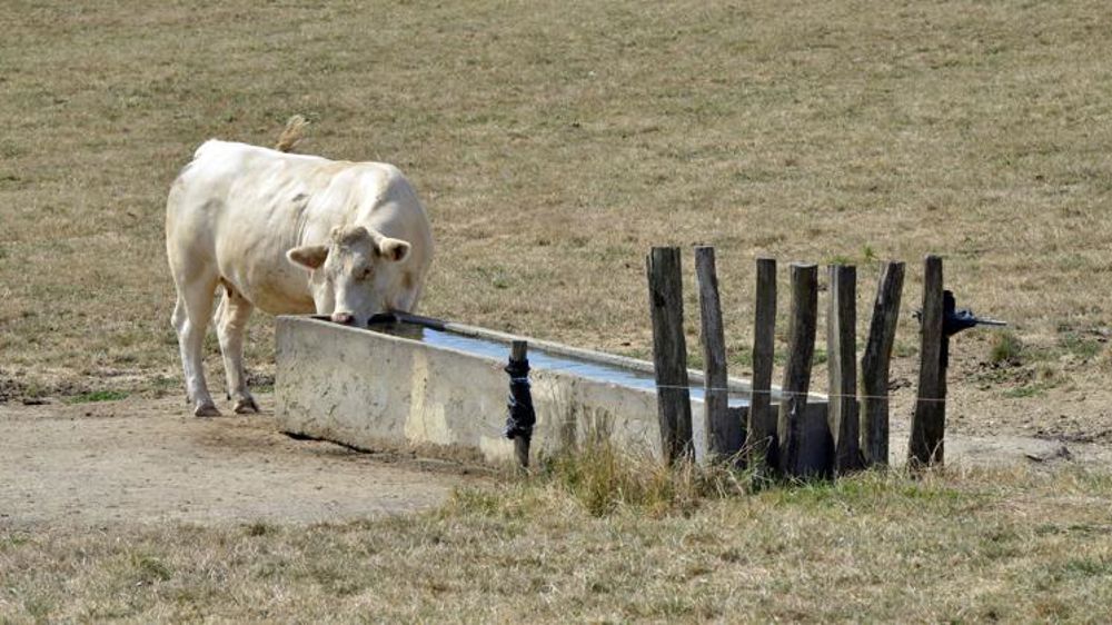 La gestion de crise en situation de sécheresse mieux organisée
