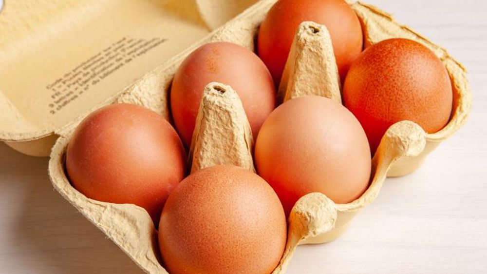 24 000 œufs sauvés de la casse