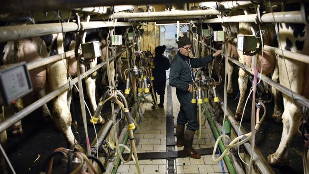 Une nouvelle attestation pour le conjoint travaillant sur la ferme