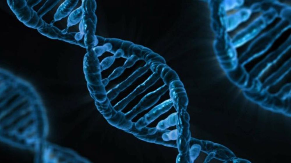 Les biotechnologies végétales se voient comme un atout