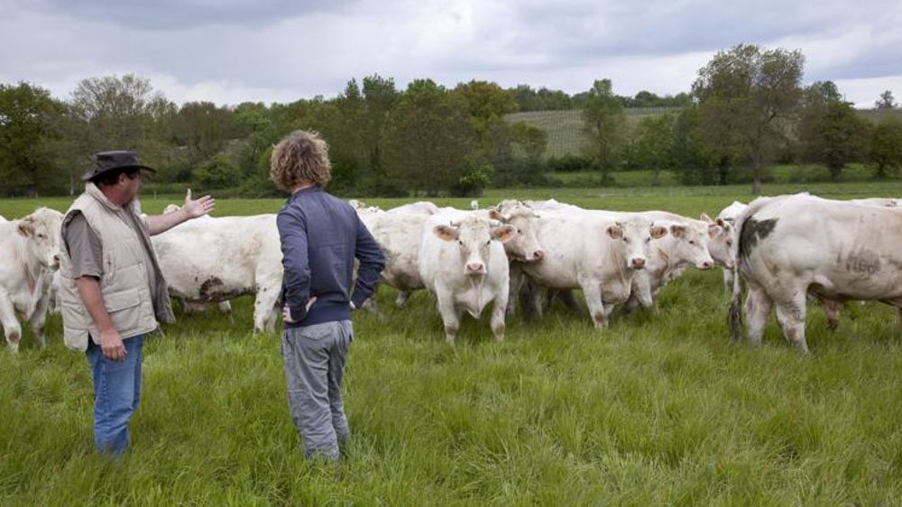 Comment préparer sa transmission lorsqu’on est éleveur ?