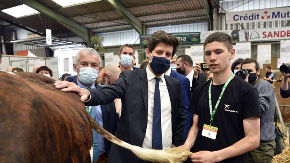 « Ce n’est pas aux comptes des exploitants de payer » pour le bien-être animal