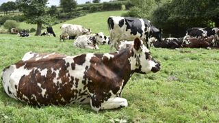 240 millions de litres de lait bio supplémentaires en 2022 240 millions de litres de lait bio supplémentaires en 2022