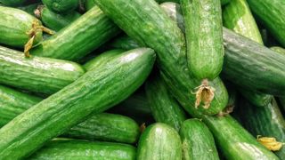 La faible demande fait chuter le prix du concombre La faible demande fait chuter le prix du concombre