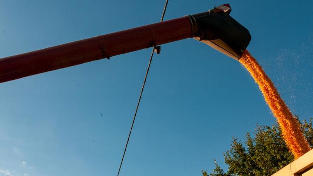 Les stocks mondiaux de céréales se stabilisent