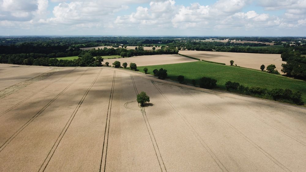 La Coordination rurale alerte sur le danger de la stratégie « De la ferme à la f