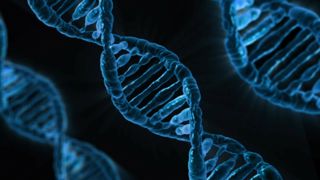 La législation sur les nouvelles techniques génomiques en consultation La législation sur les nouvelles techniques génomiques en consultation