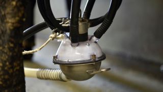 La qualité du lait français s’améliore La qualité du lait français s’améliore