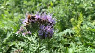 Un million de signatures contre « les pesticides de synthèse » Un million de signatures contre « les pesticides de synthèse »