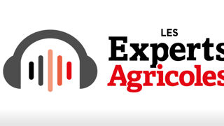 Découvrez nos podcasts Découvrez nos podcasts