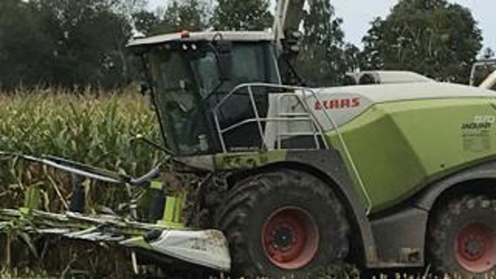 Entre récolte et semis