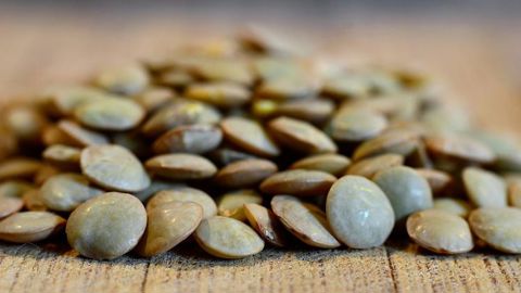 La production de lentilles vertes divisée par cinq La production de lentilles vertes divisée par cinq