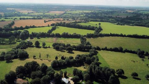 La profession agricole met la pression pour la régulation foncière La profession agricole met la pression pour la régulation foncière