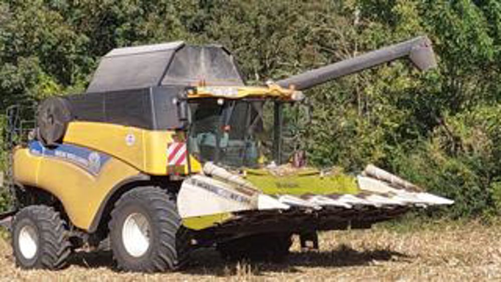 De bons rendements en maïs