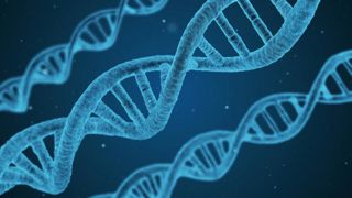 La justice européenne devra trancher sur les plantes tolérantes aux herbicides La justice européenne devra trancher sur les plantes tolérantes aux herbicides