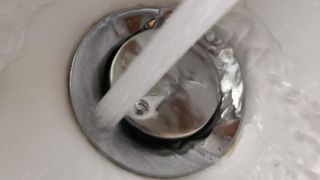 L’Anses veut renforcer la surveillance du métolachlore L’Anses veut renforcer la surveillance du métolachlore