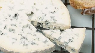 Sodiaal investit 170 millions dans ses fromageries Sodiaal investit 170 millions dans ses fromageries