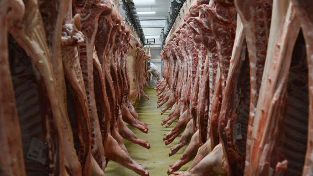 Face à la crise, la Cooperl rabote son prix du porc