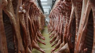 Face à la crise, la Cooperl rabote son prix du porc Face à la crise, la Cooperl rabote son prix du porc