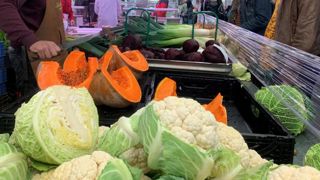 Bruxelles baisse les seuils de résidus d’un néonicotinoïde Bruxelles baisse les seuils de résidus d’un néonicotinoïde