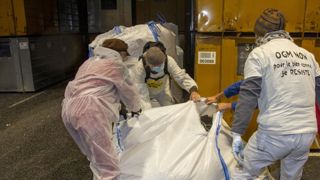 Des faucheurs volontaires détruisent des semences de tournesol Des faucheurs volontaires détruisent des semences de tournesol