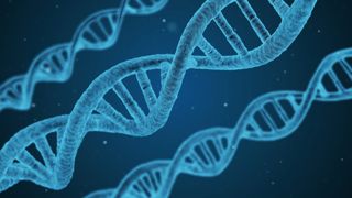 L’Efsa ne différencie pas mutagenèse aléatoire in vivo et in vitro L’Efsa ne différencie pas mutagenèse aléatoire in vivo et in vitro