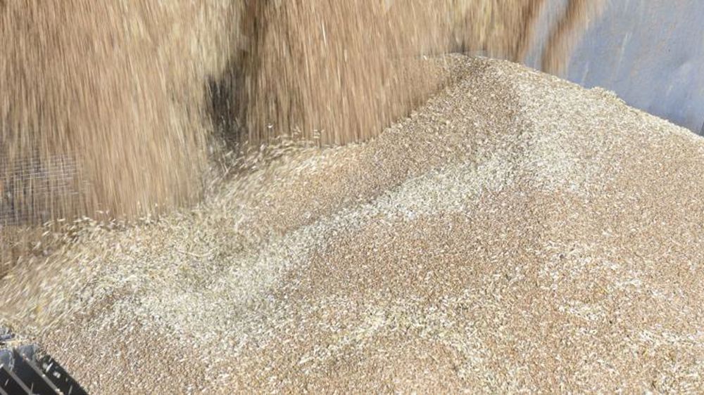 Tension sur le bilan mondial du blé tendre