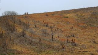 La plateforme Glyphosate réagit à l’avis de Génération futures La plateforme Glyphosate réagit à l’avis de Génération futures