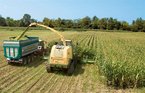 Ensileuse Big X Krone sur un chantier de récolte de maïs