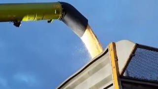 Les travaux d’automne se terminent Les travaux d’automne se terminent