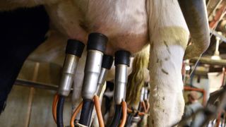 En octobre, la collecte recule et le prix du lait de vache augmente En octobre, la collecte recule et le prix du lait de vache augmente
